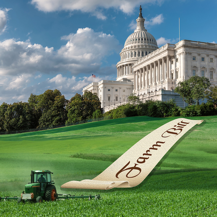 Senate passes farm bill; conference committee next